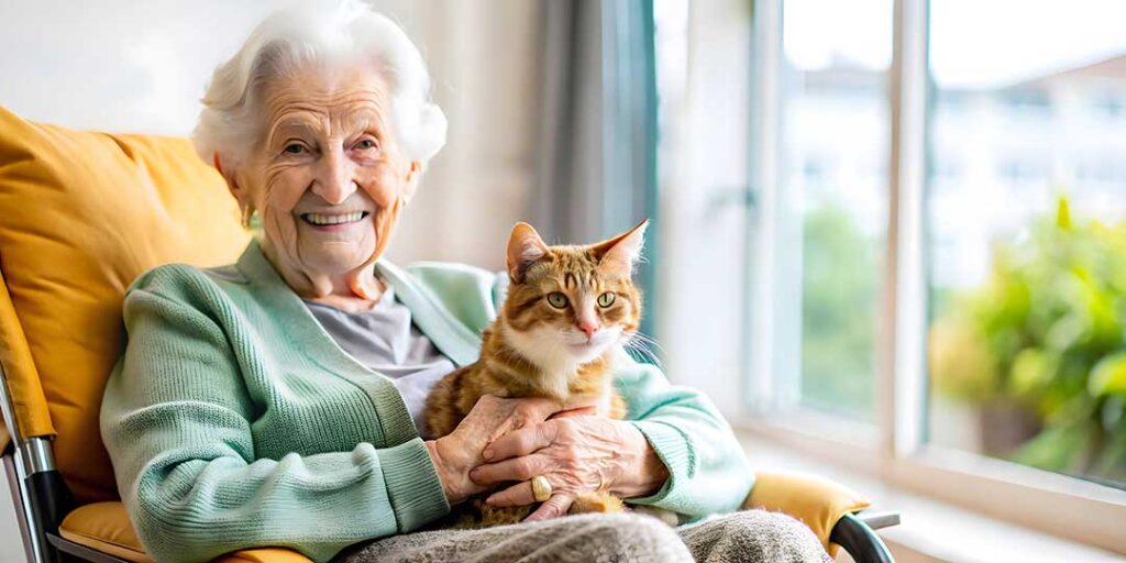 Family member sits with a senior in a bright assisted living room surrounded by familiar photographs and belongings.